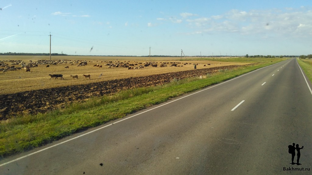 IMG_20150713_064306_1