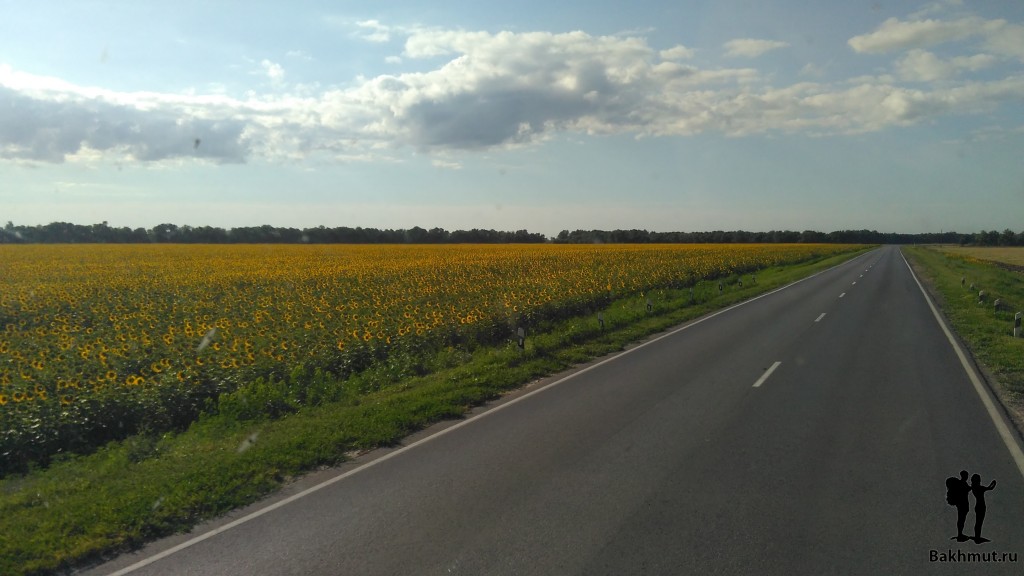 IMG_20150713_071758_1